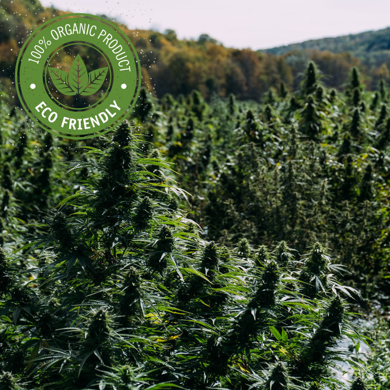 Organic Labeling Taboo in Cannabis, But Alternatives Exist