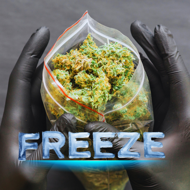Revolutionary Weed-Freezing at -320°F to Kill Mold Efficiently