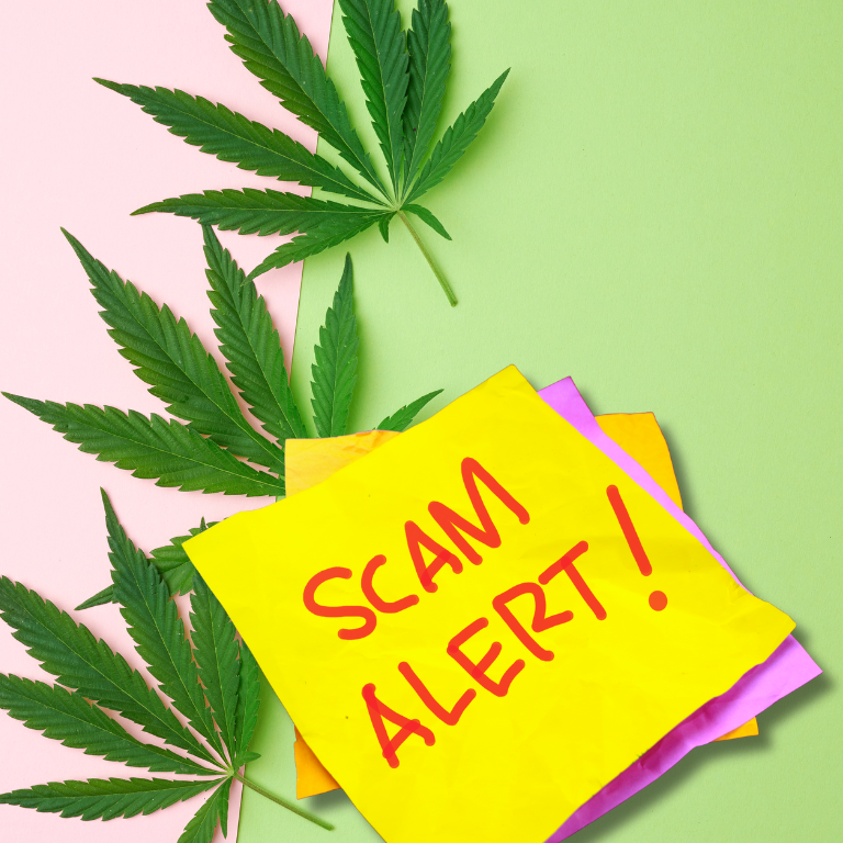 New Law to Shut Down Unlicensed Cannabis Shops in Chemung County