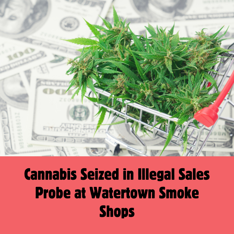 Cannabis Seized in Illegal Sales Probe at Watertown Smoke Shops