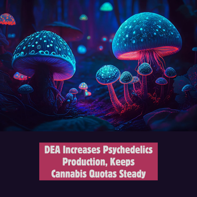 DEA Increases Psychedelics Supply, Cannabis Quotas Remain Fixed