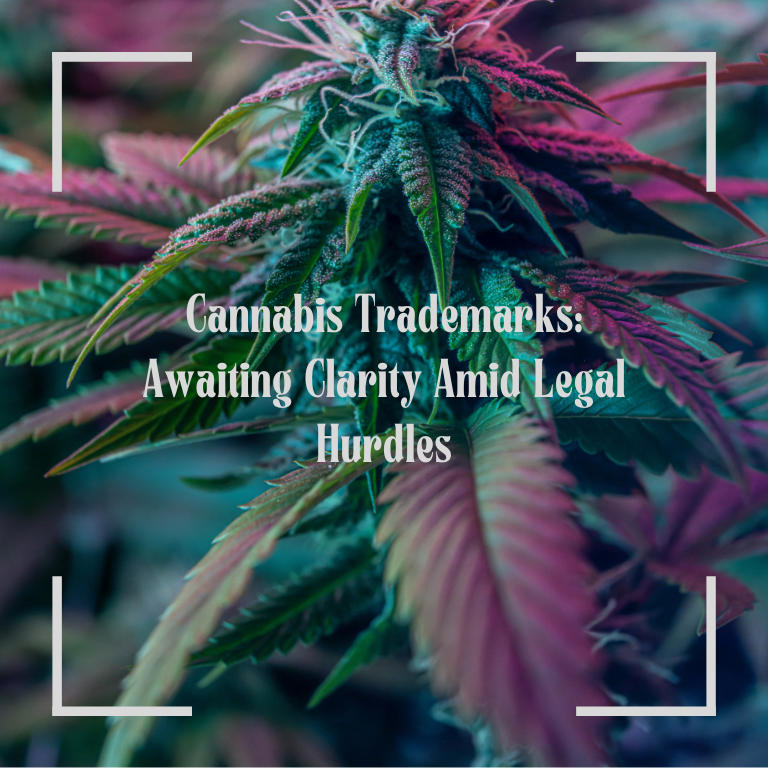 Cannabis Trademarks: Awaiting Clarity Amid Legal Hurdles