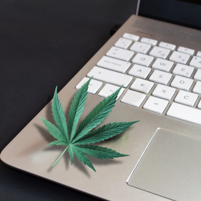 Powr Plant Acquires StrainBrain, AI Budtender Tech Company