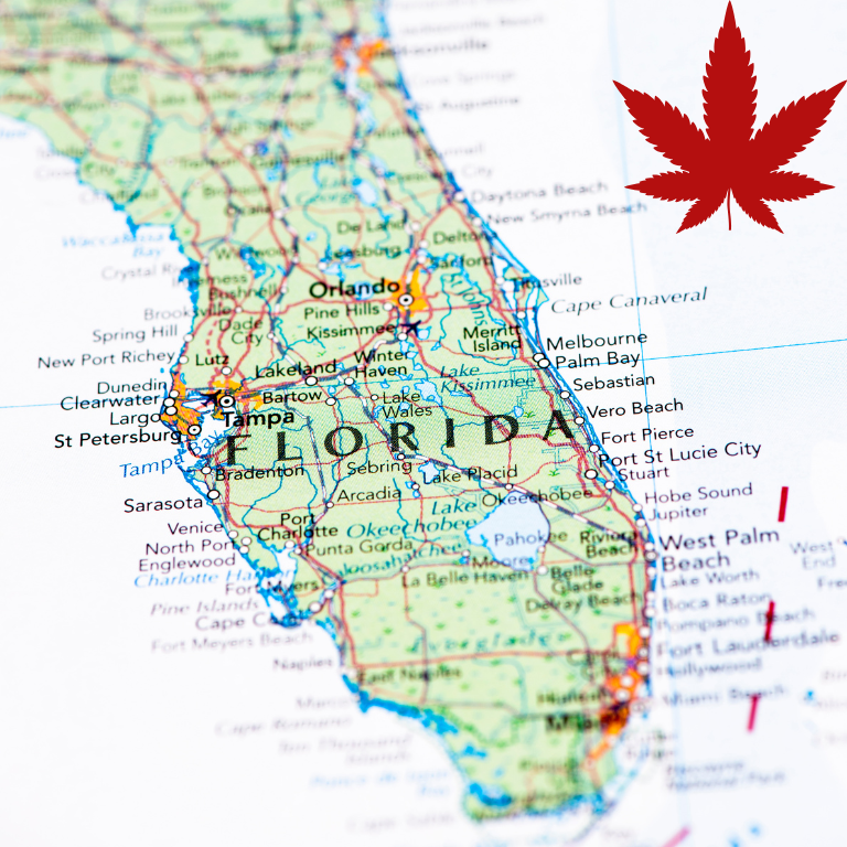 Cannabis Stocks Drop Sharply After Florida Amendment Fails