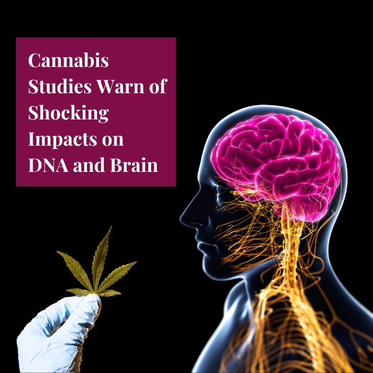 New Cannabis Studies: Alarming Effects on DNA and Prenatal Health