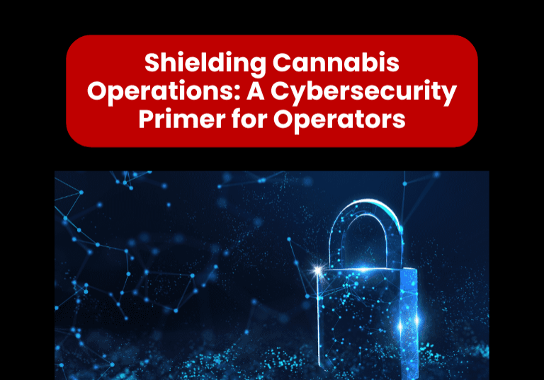 shielding cannabis shielding cannabis
